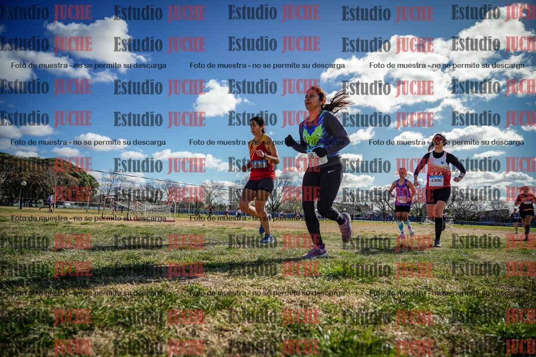 Fotos en el circuito