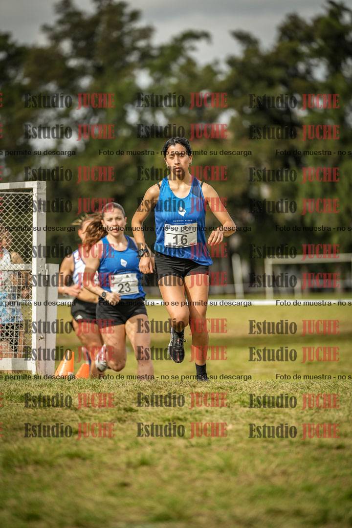 Fotos en el circuito