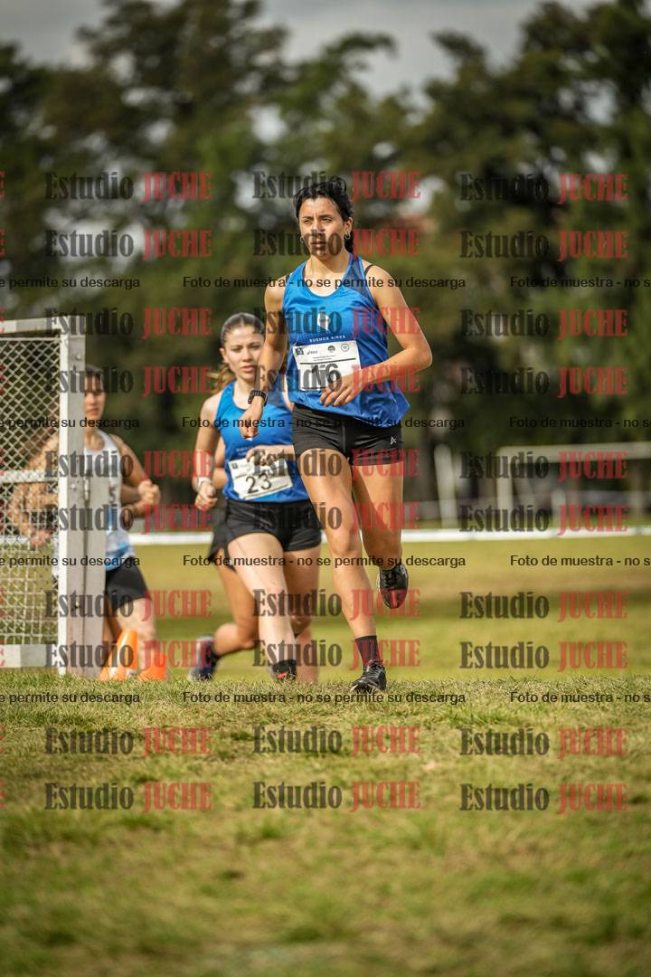 Fotos en el circuito