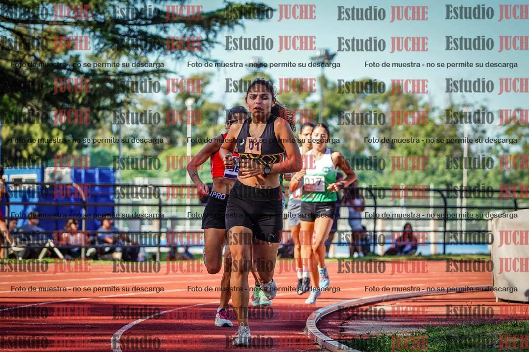 Fotos de los 1500 m llanos de mujeres