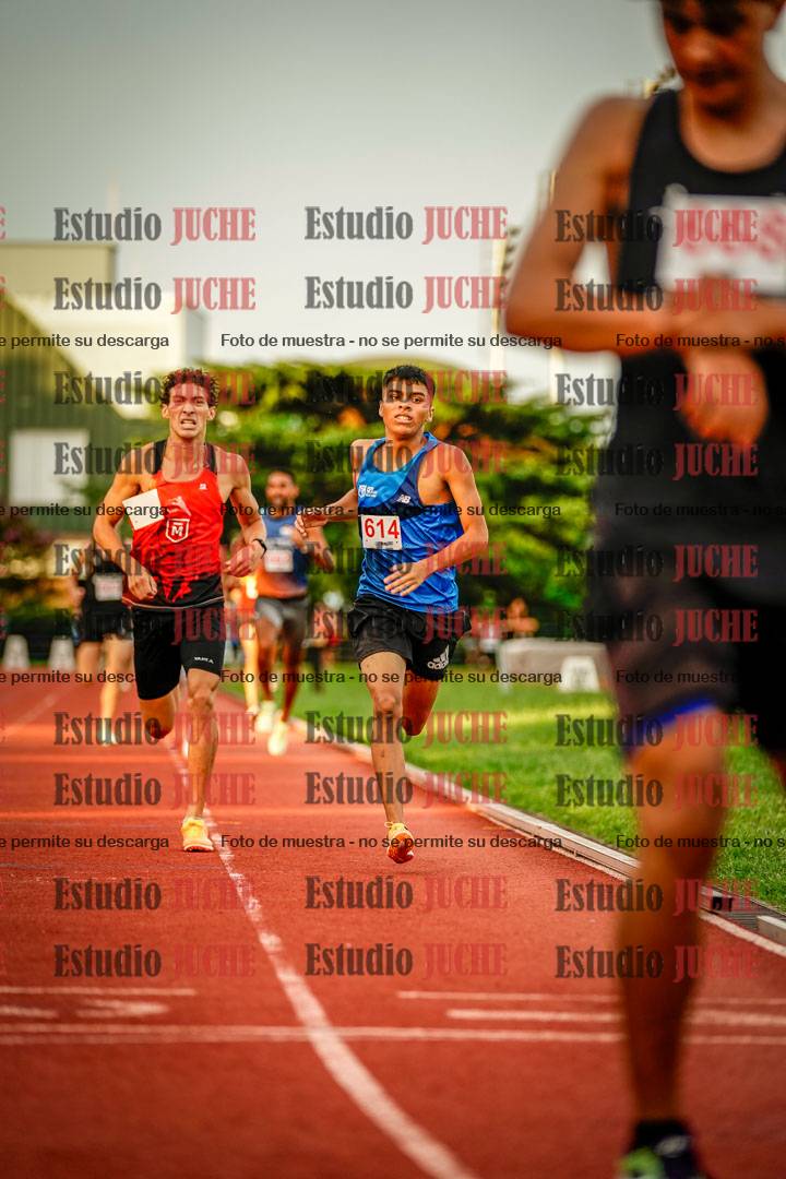 Fotos de los 1500 m llanos de varones