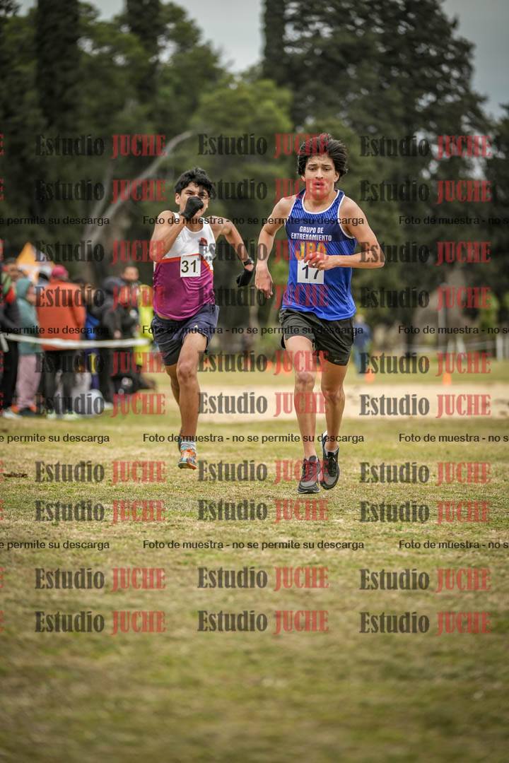 Fotos de la llegada