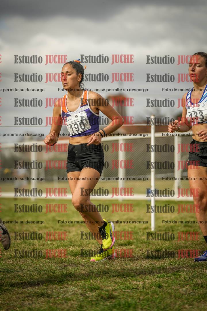 Fotos en el circuito