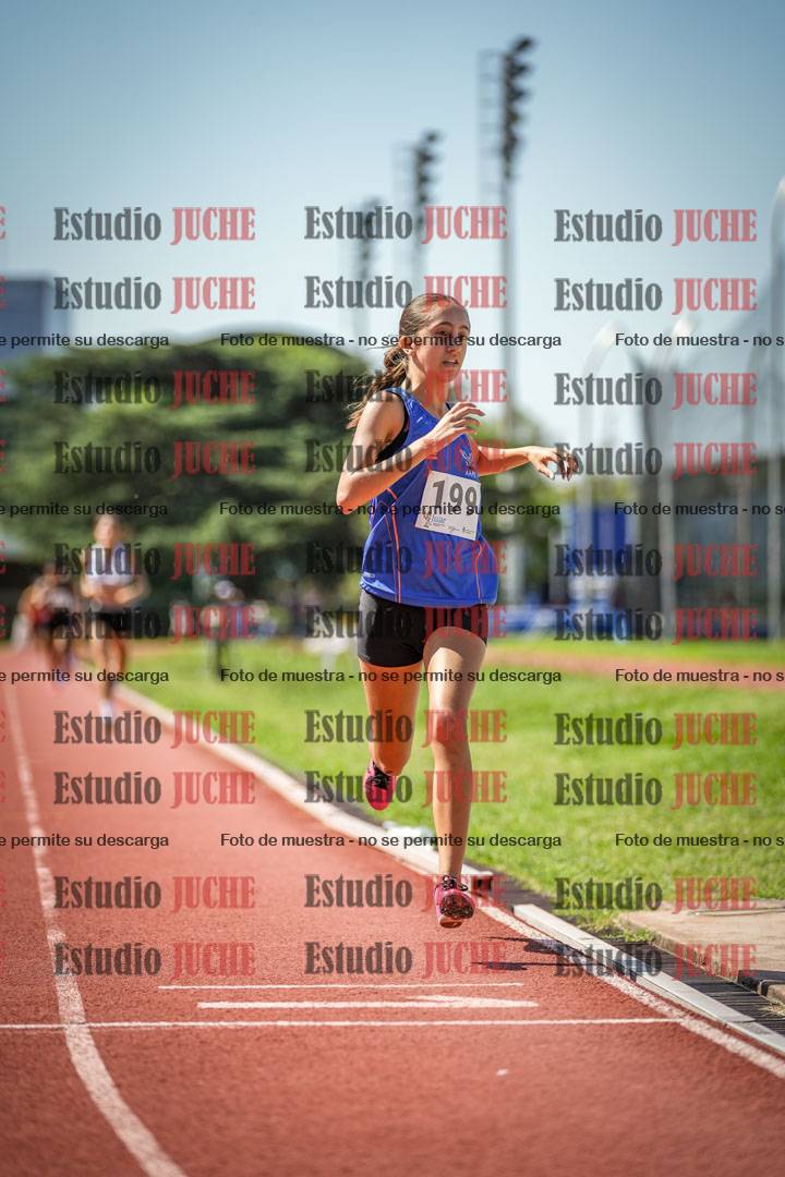 Fotos de los 800 m llanos de mujeres