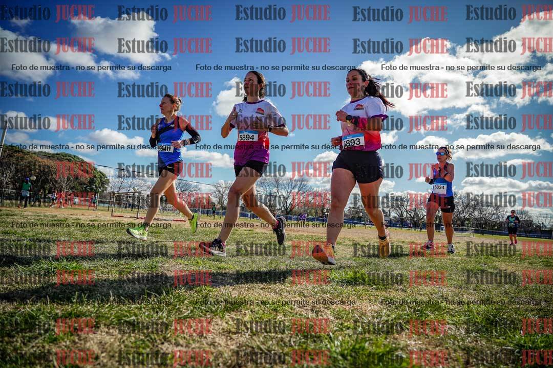 Fotos en el circuito