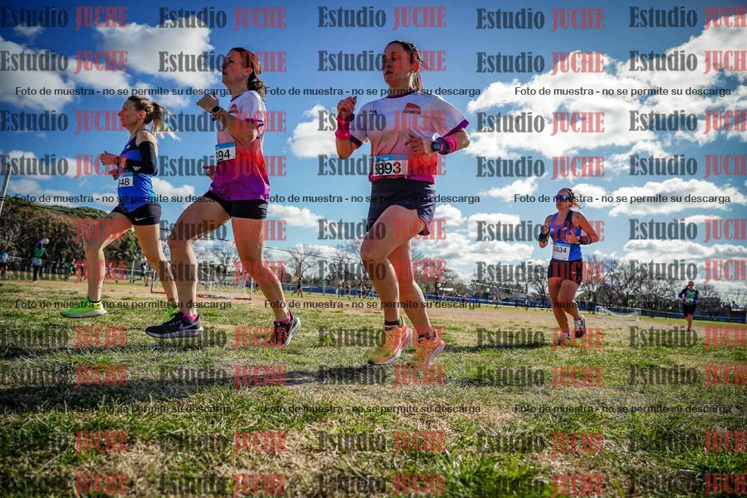 Fotos en el circuito