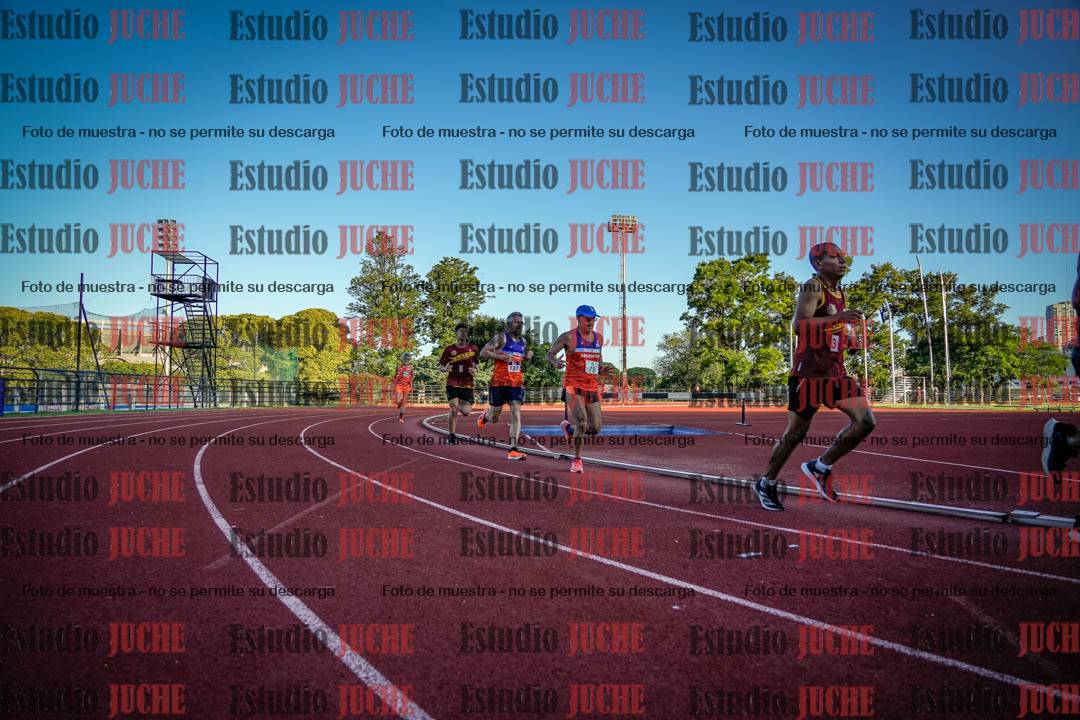 Fotos de los 3000 m llanos de varones