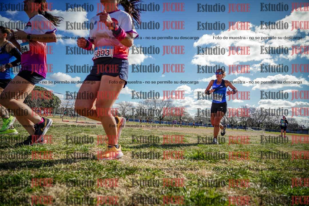 Fotos en el circuito