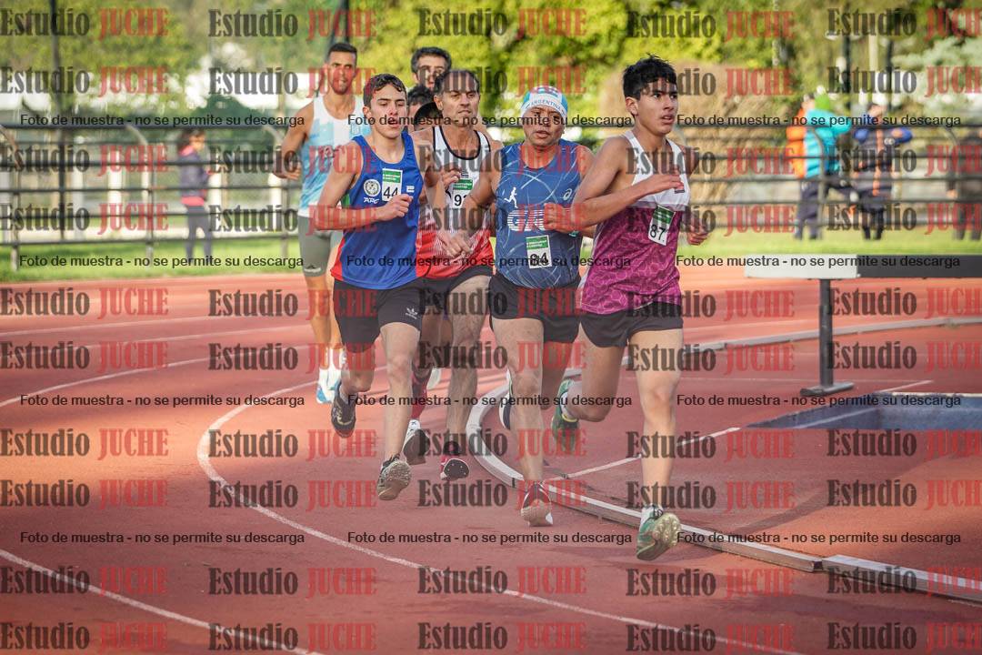 Fotos de los 3000 m llanos de varones
