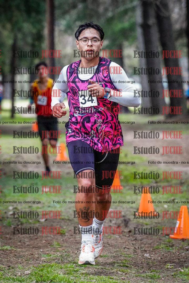 Fotos en el circuito