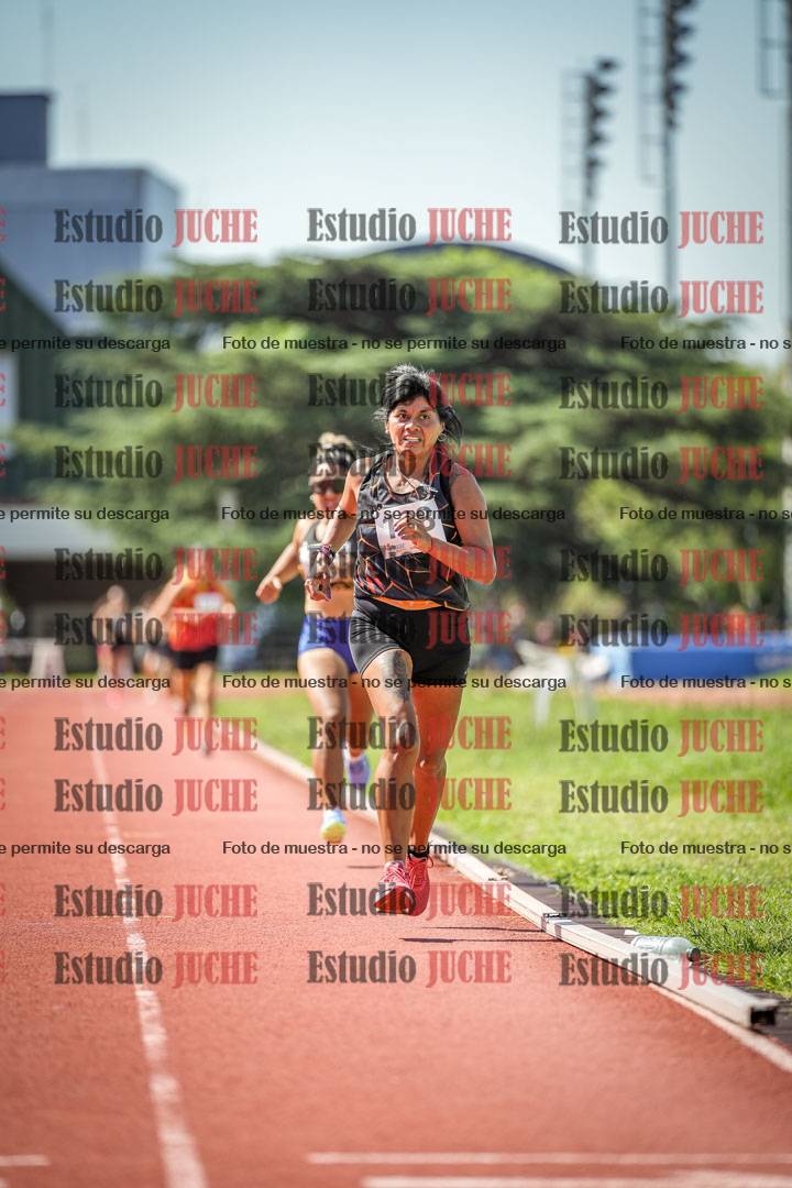 Fotos de los 800 m llanos de mujeres