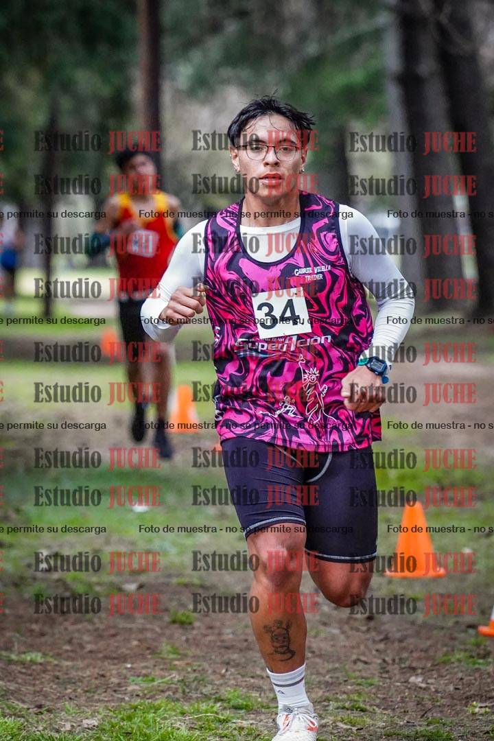 Fotos en el circuito