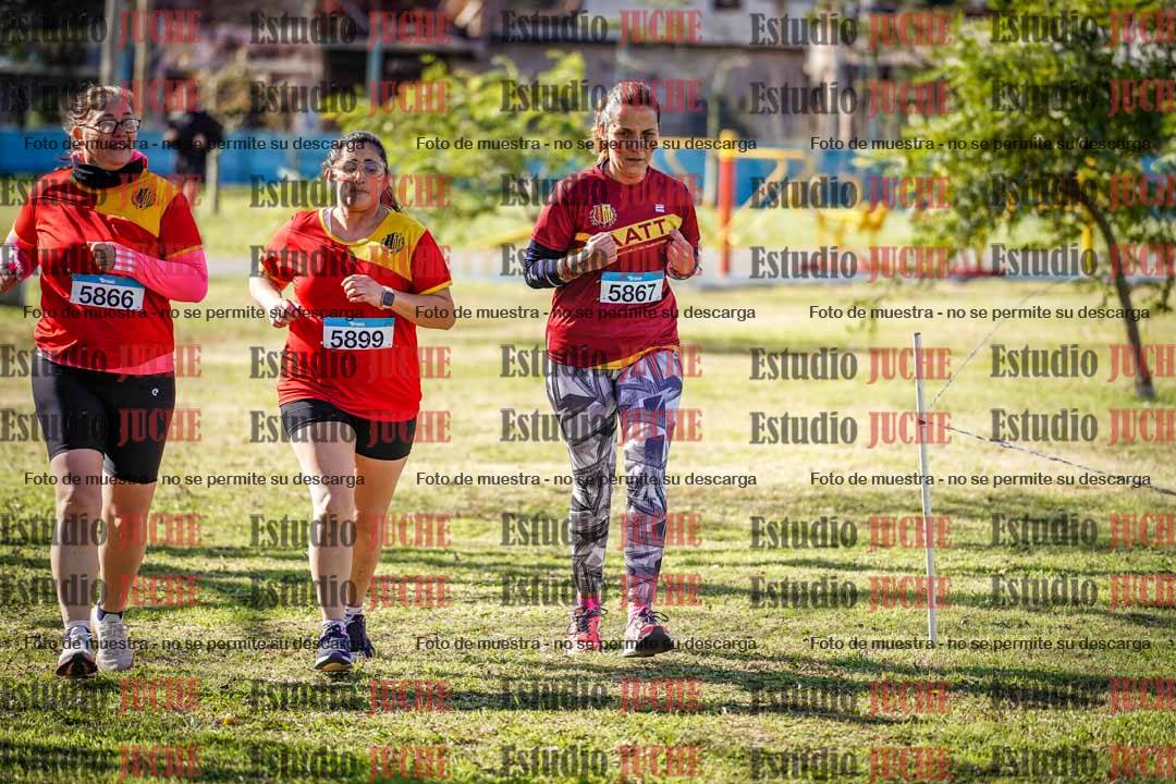 Fotos en el circuito