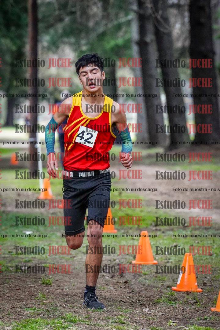 Fotos en el circuito