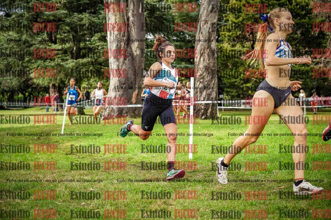 Fotos en el circuito