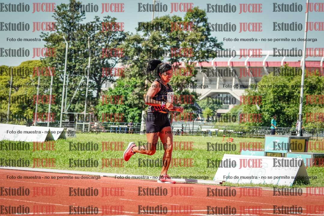 Fotos de los 800 m llanos de mujeres
