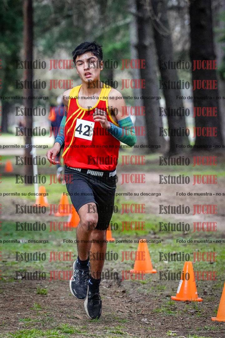 Fotos en el circuito
