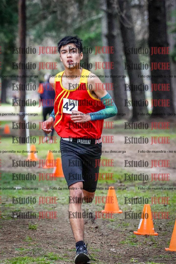 Fotos en el circuito