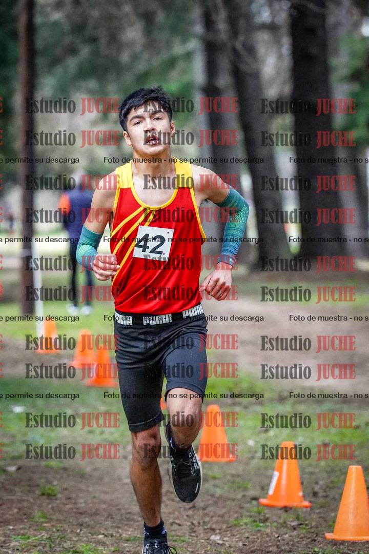 Fotos en el circuito