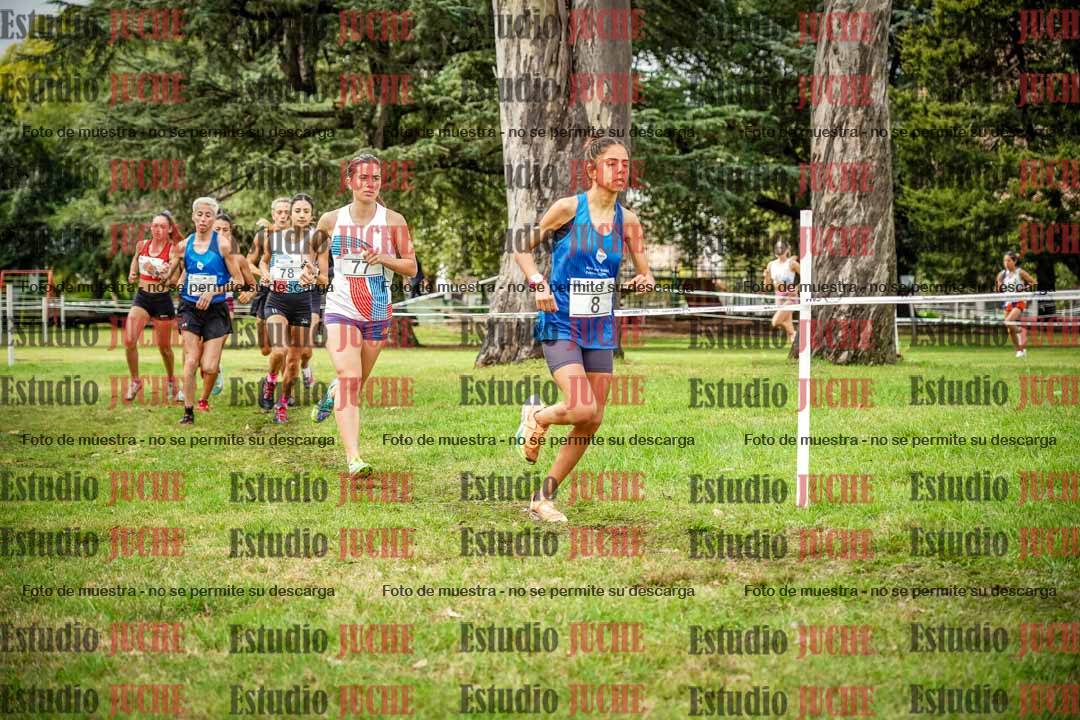 Fotos en el circuito