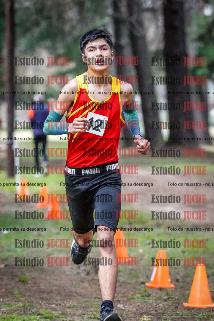Fotos en el circuito
