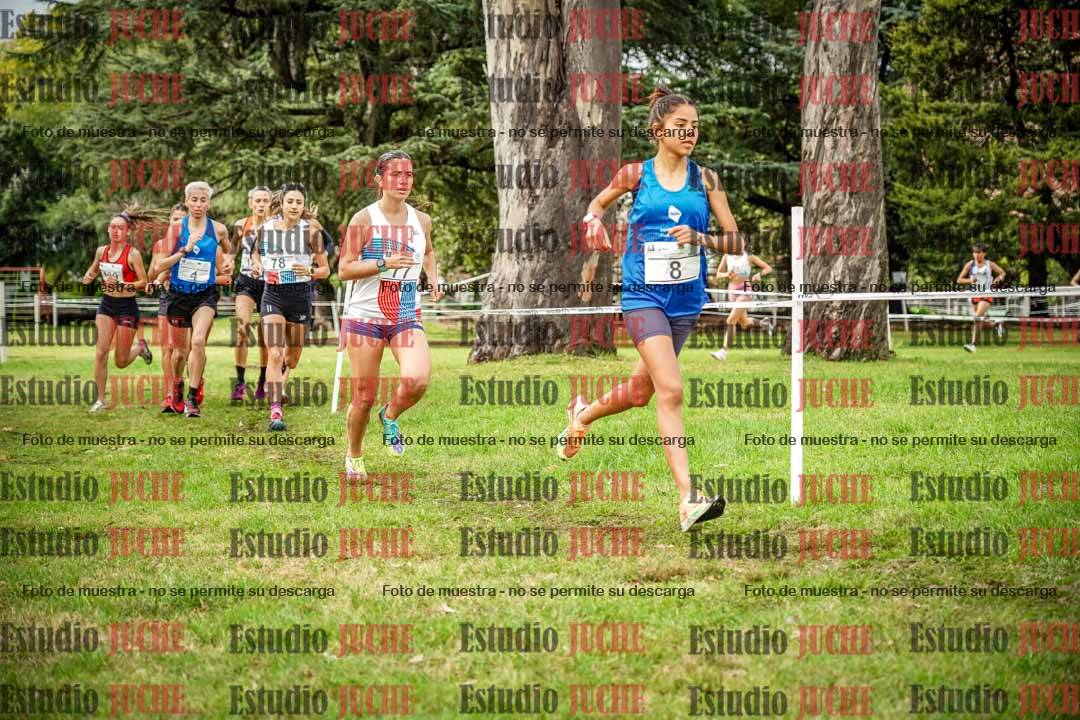 Fotos en el circuito