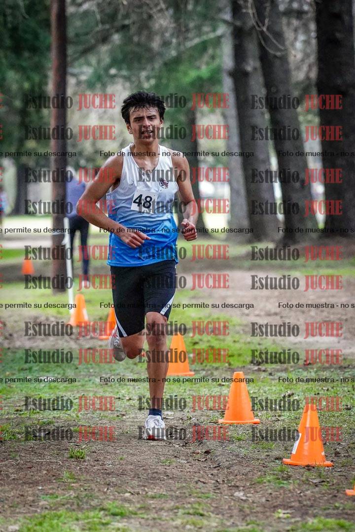 Fotos en el circuito