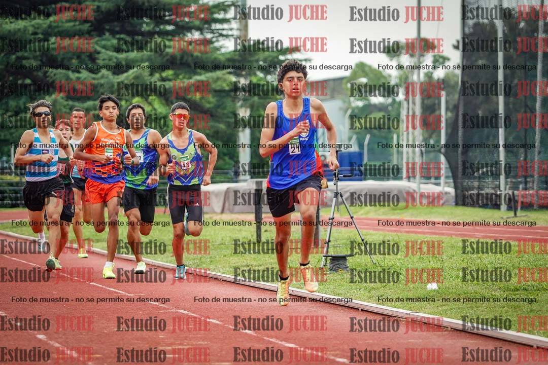 Fotos de los 800 m de varones