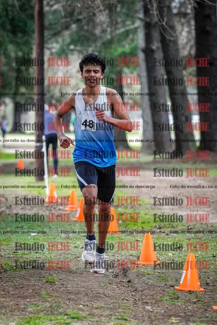 Fotos en el circuito