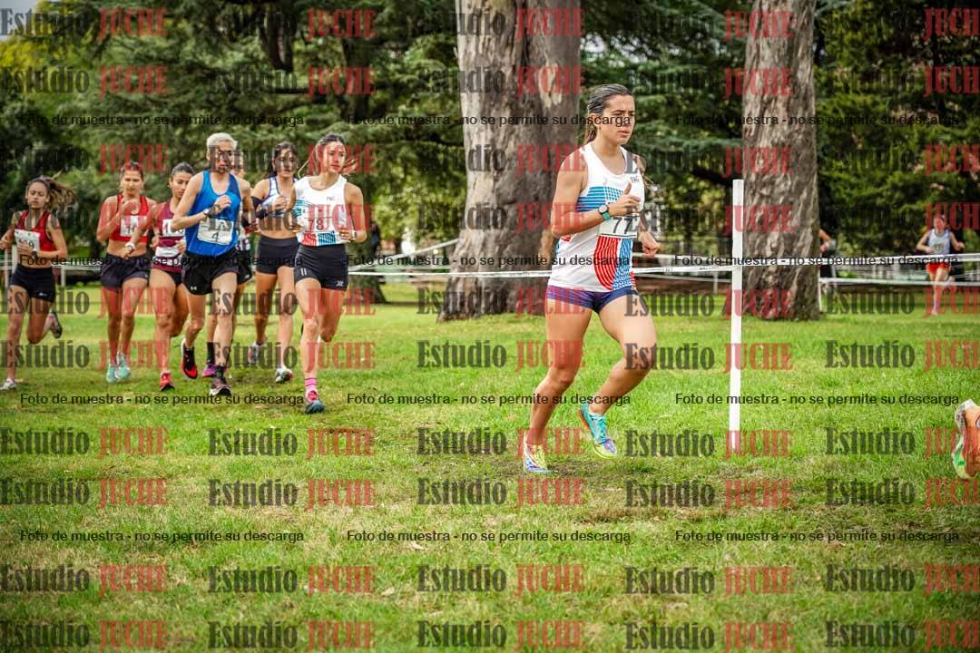 Fotos en el circuito