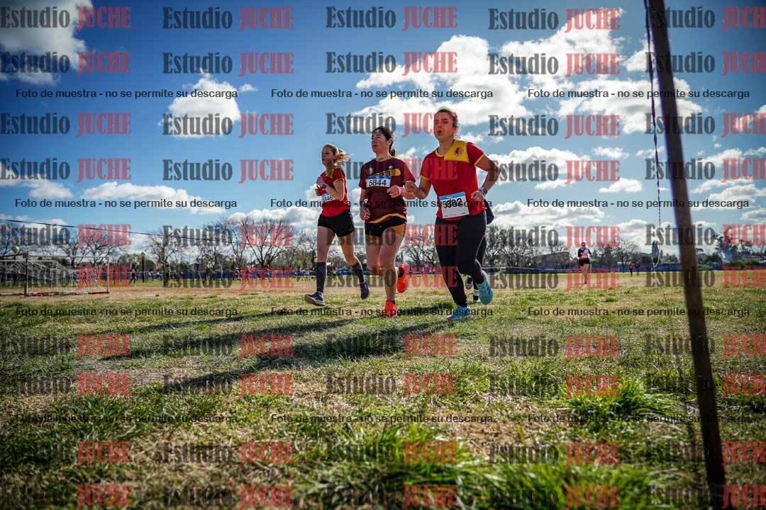 Fotos en el circuito
