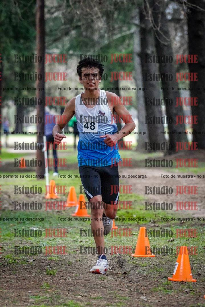 Fotos en el circuito