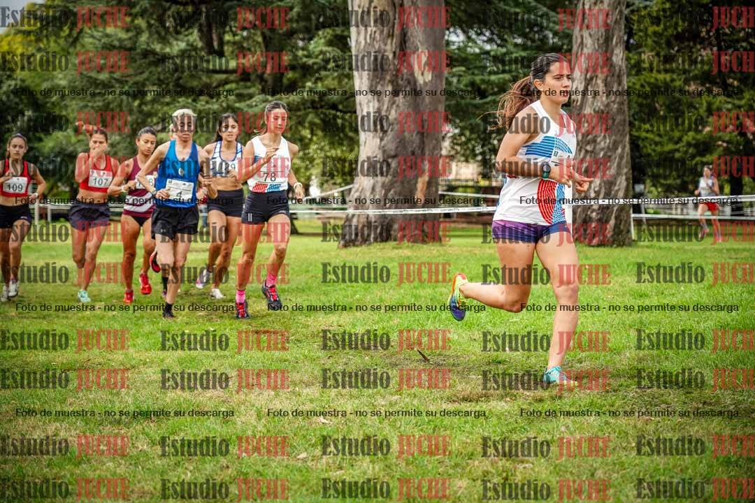 Fotos en el circuito