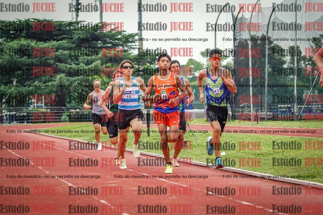 Fotos de los 800 m de varones