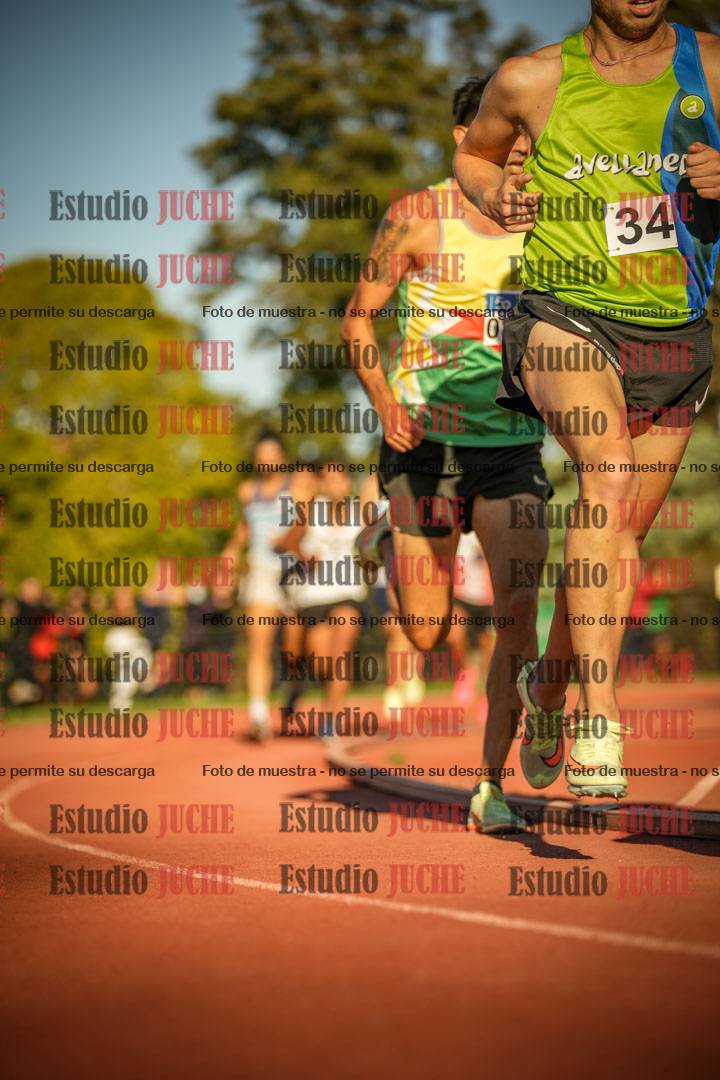 Fotos de los 3000 m llanos de varones