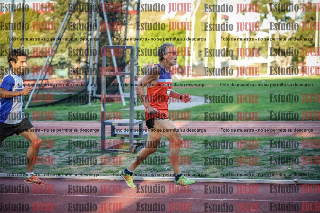 Fotos de los 3000 m llanos de varones