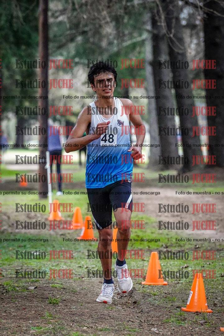 Fotos en el circuito