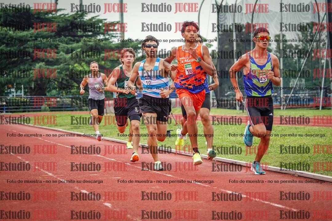 Fotos de los 800 m de varones