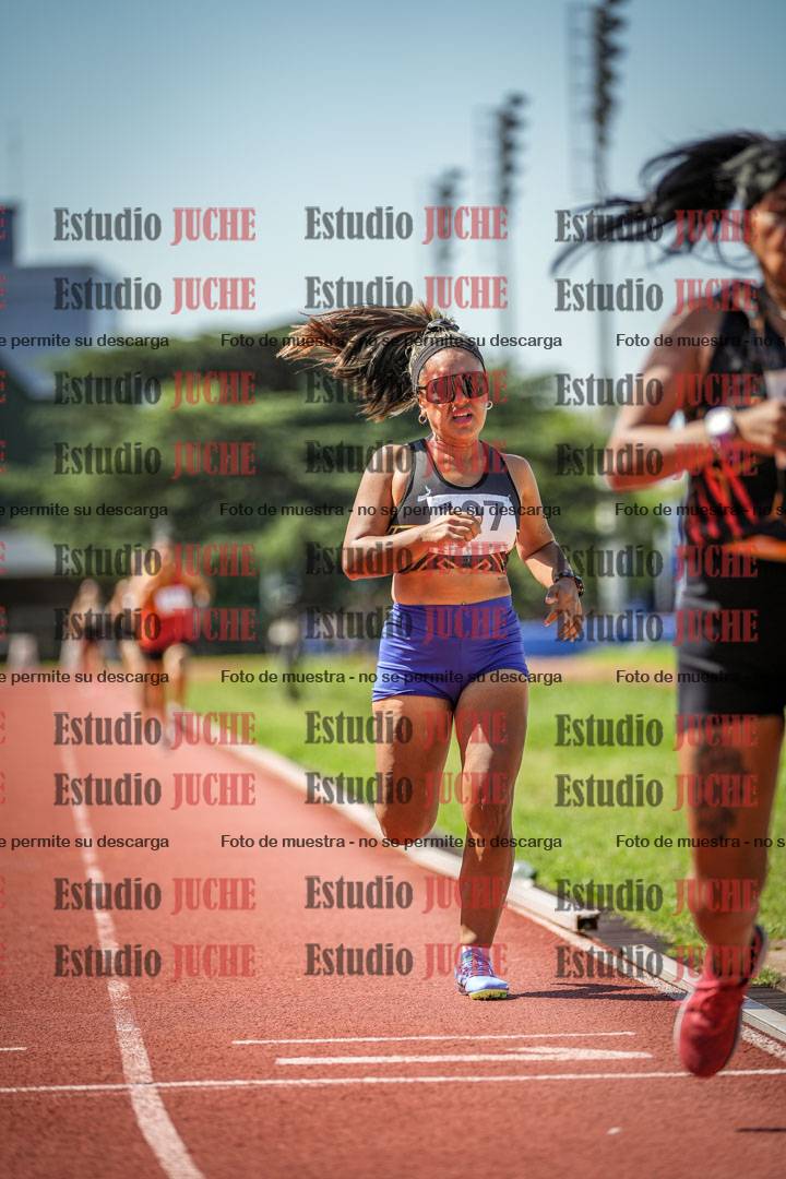 Fotos de los 800 m llanos de mujeres
