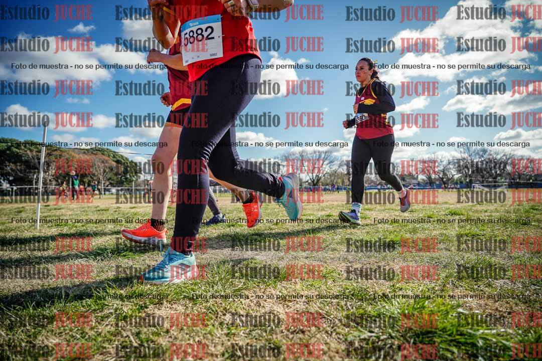 Fotos en el circuito