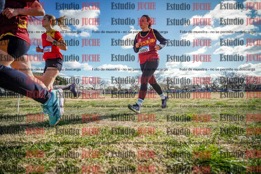 Fotos en el circuito