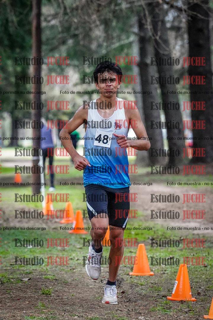 Fotos en el circuito