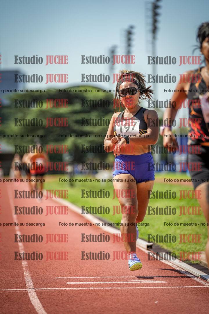 Fotos de los 800 m llanos de mujeres