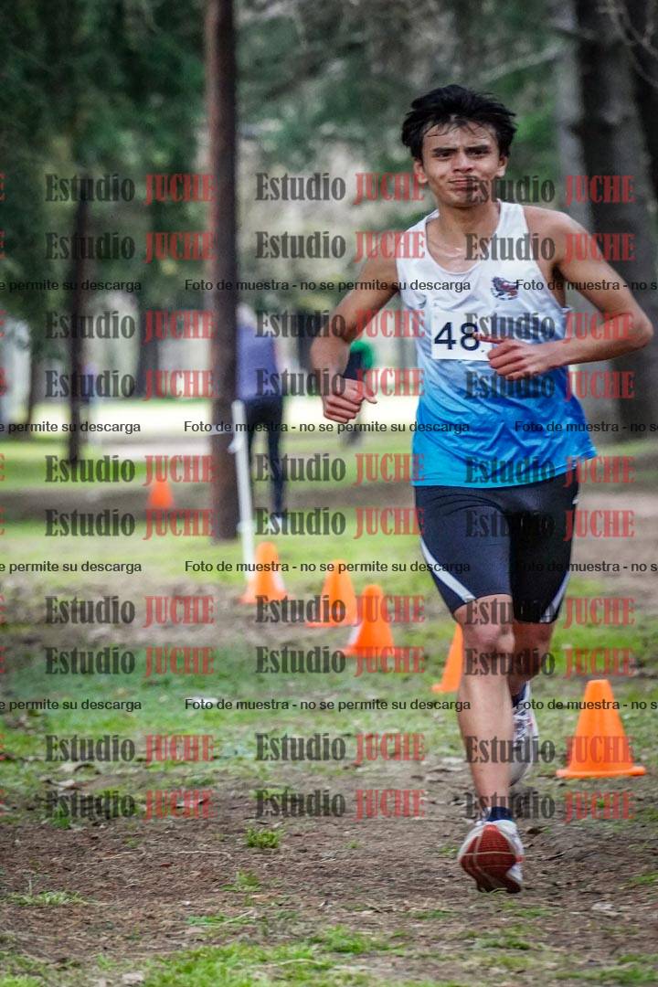 Fotos en el circuito