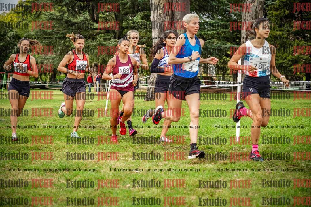 Fotos en el circuito