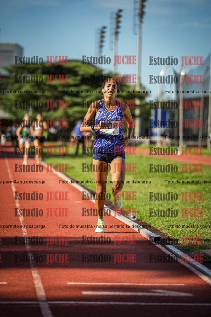 Fotos de los 1500 m llanos de mujeres