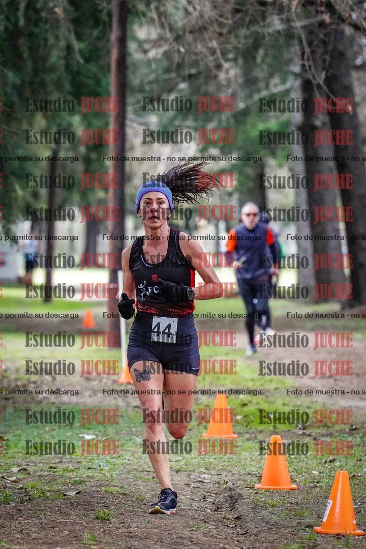 Fotos en el circuito