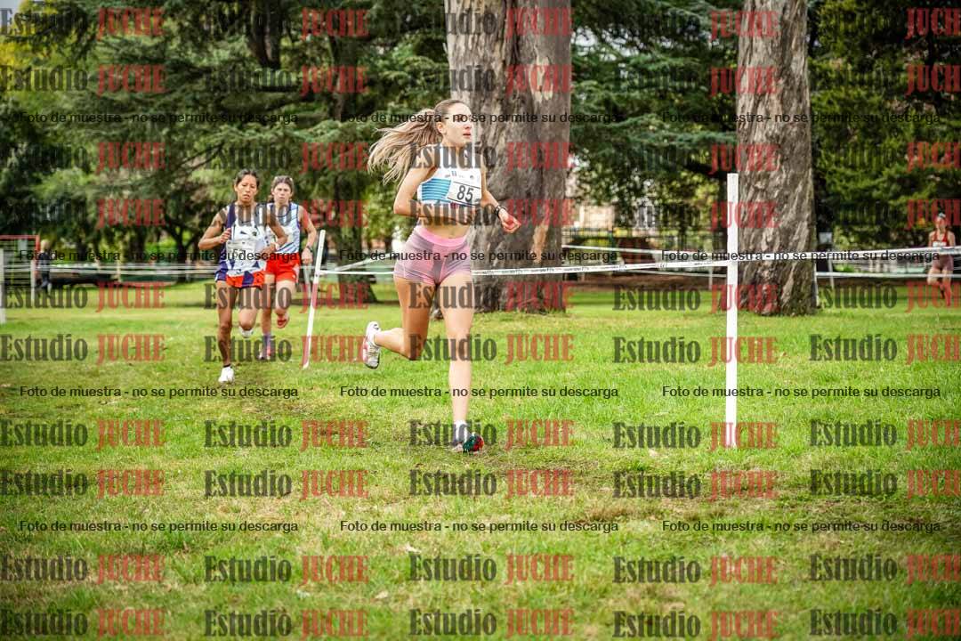 Fotos en el circuito