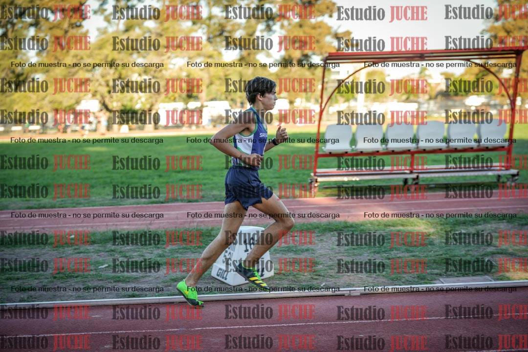 Fotos de los 3000 m llanos de varones