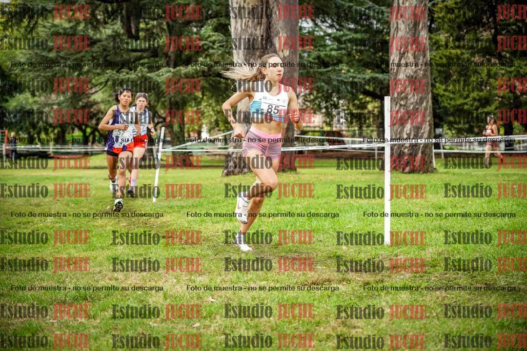 Fotos en el circuito